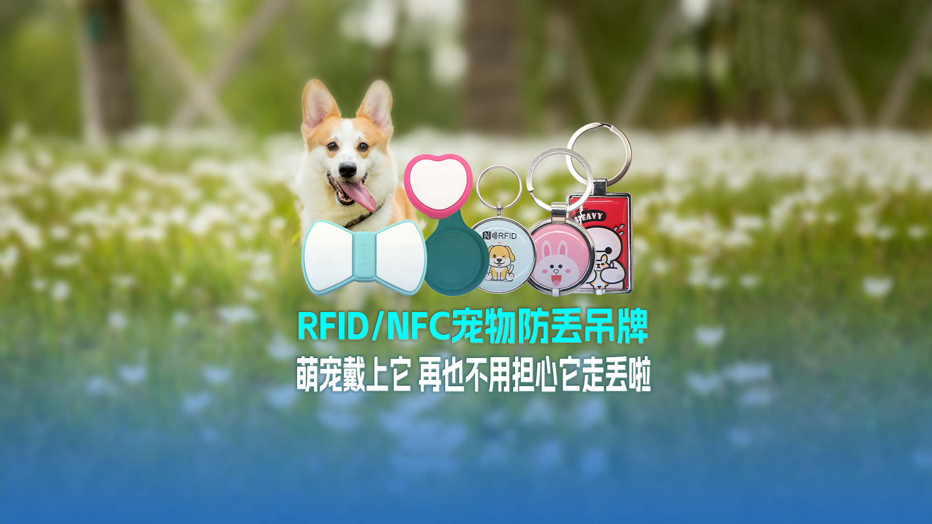 九游会在线集团RFID宠物防丢吊牌：萌宠戴上它 再也不用不安它走丢啦
